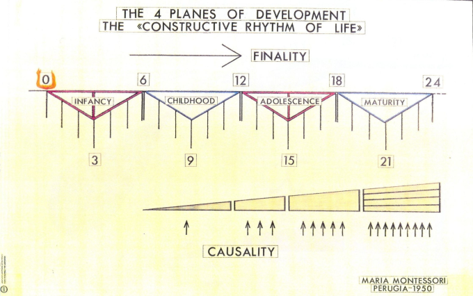 Chart illustrating the progression of the four planes of development. 