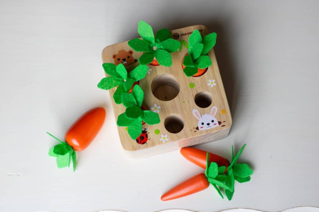 Wooden block with different sized holes and wooden carrots of different sizes to fit in the hole.