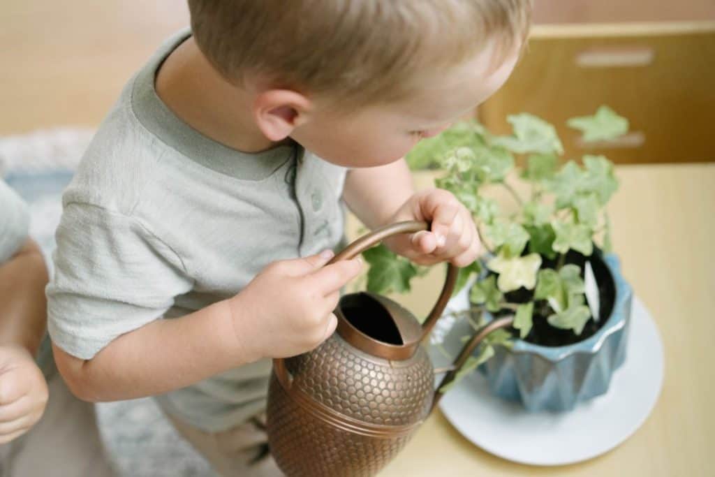 toddler watering a plant