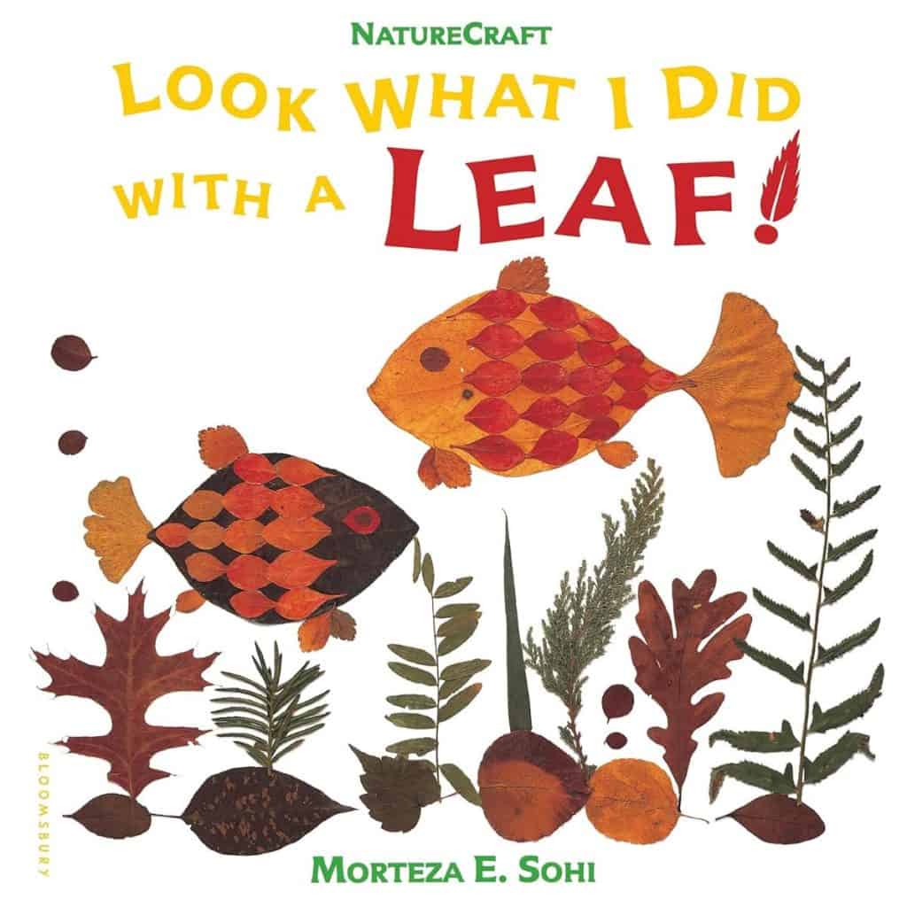 Look What I did with a Leaf book.
