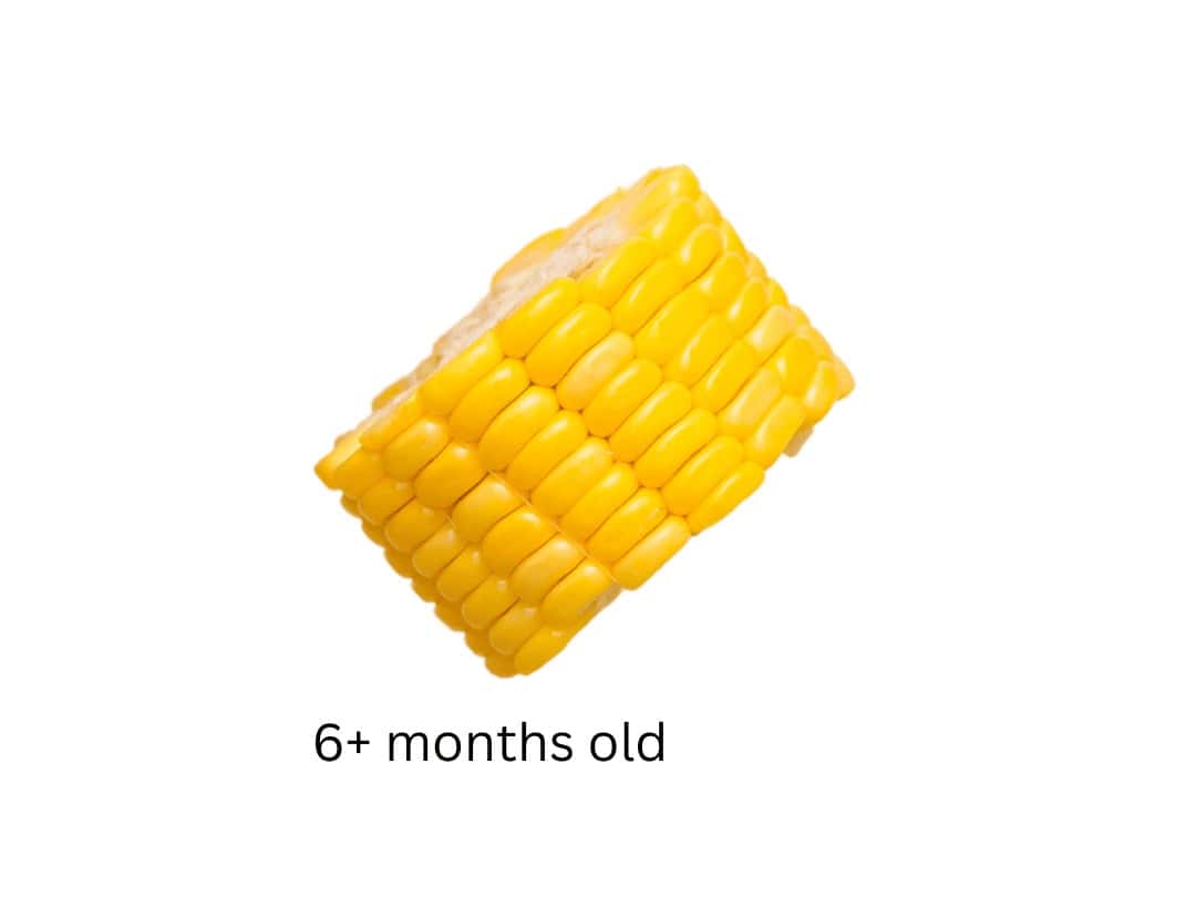 2 inch piece of a corn cob